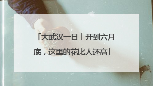 大武汉一日︱开到六月底，这里的花比人还高