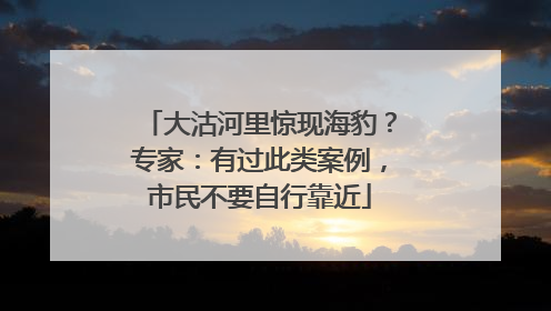 大沽河里惊现海豹？专家：有过此类案例，市民不要自行靠近