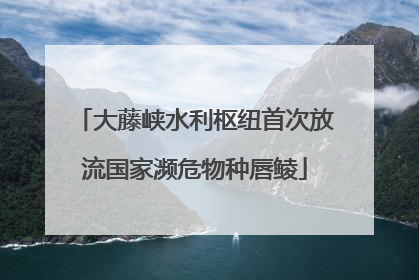 大藤峡水利枢纽首次放流国家濒危物种唇鲮