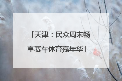 天津：民众周末畅享赛车体育嘉年华