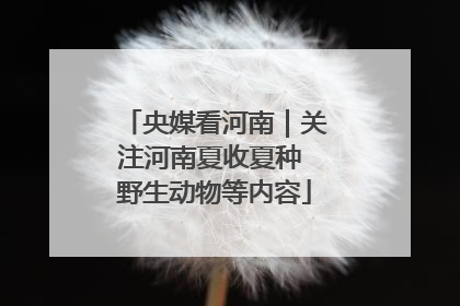 央媒看河南｜关注河南夏收夏种 野生动物等内容