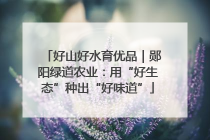 好山好水育优品｜郧阳绿道农业：用“好生态”种出“好味道”