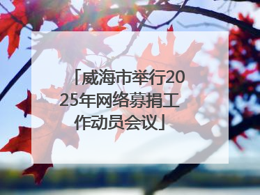 威海市举行2025年网络募捐工作动员会议