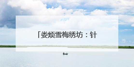 娄烦雪梅绣坊：针绣梅魂 锦缎凝香