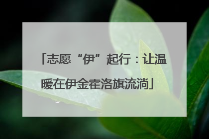 志愿“伊”起行：让温暖在伊金霍洛旗流淌