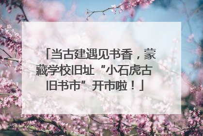 当古建遇见书香，蒙藏学校旧址“小石虎古旧书市”开市啦！