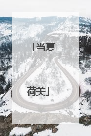 当夏荷美