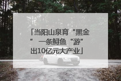 当阳山泉育“黑金” 一条鲟鱼“游”出10亿元大产业