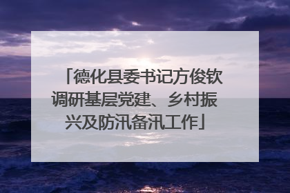 德化县委书记方俊钦调研基层党建、乡村振兴及防汛备汛工作