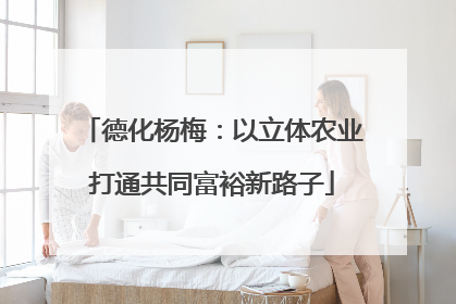 德化杨梅：以立体农业打通共同富裕新路子