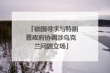 德国寻求与特朗普政府协调涉乌克兰问题立场
