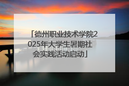 德州职业技术学院2025年大学生暑期社会实践活动启动