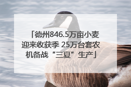 德州846.5万亩小麦迎来收获季 25万台套农机备战“三夏”生产