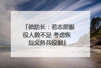 德防长：若志愿服役人数不足 考虑恢复义务兵役制