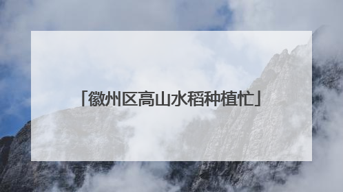 徽州区高山水稻种植忙