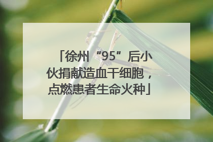 徐州“95”后小伙捐献造血干细胞，点燃患者生命火种