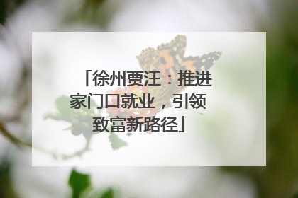 徐州贾汪：推进家门口就业，引领致富新路径