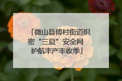 微山县傅村街道织密“三夏”安全网 护航丰产丰收季