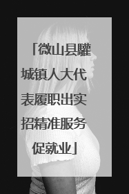微山县驩城镇人大代表履职出实招精准服务促就业