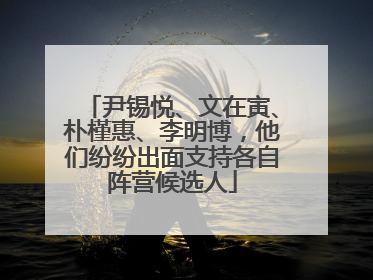 尹锡悦、文在寅、朴槿惠、李明博，他们纷纷出面支持各自阵营候选人
