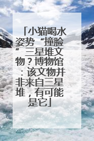 小猫喝水姿势“撞脸”三星堆文物？博物馆：该文物并非来自三星堆，有可能是它