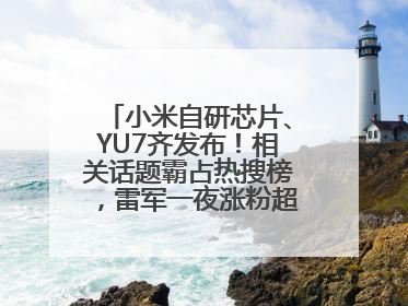 小米自研芯片、YU7齐发布！相关话题霸占热搜榜，雷军一夜涨粉超20万
