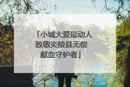 小城大爱最动人 致敬炎陵县无偿献血守护者