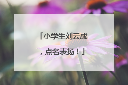 小学生刘云成，点名表扬！