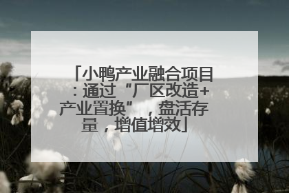 小鸭产业融合项目：通过“厂区改造+产业置换”，盘活存量，增值增效