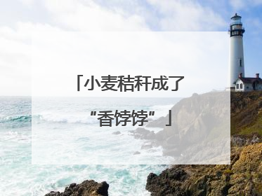 小麦秸秆成了“香饽饽”