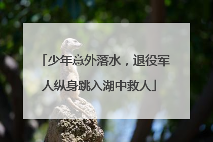 少年意外落水，退役军人纵身跳入湖中救人