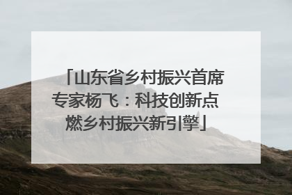 山东省乡村振兴首席专家杨飞：科技创新点燃乡村振兴新引擎