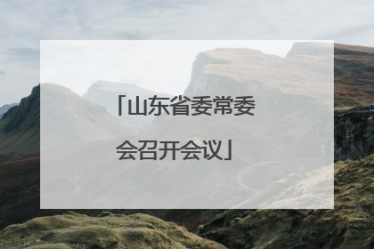山东省委常委会召开会议