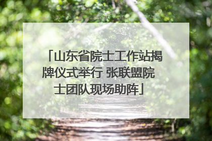 山东省院士工作站揭牌仪式举行 张联盟院士团队现场助阵