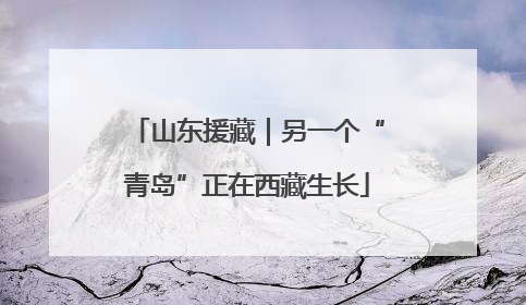 山东援藏｜另一个“青岛”正在西藏生长