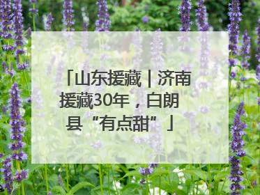 山东援藏｜济南援藏30年，白朗县“有点甜”