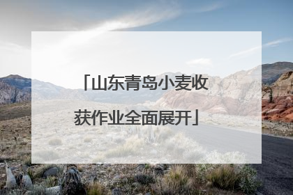 山东青岛小麦收获作业全面展开
