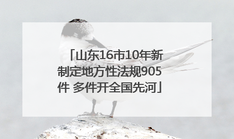 山东16市10年新制定地方性法规905件 多件开全国先河