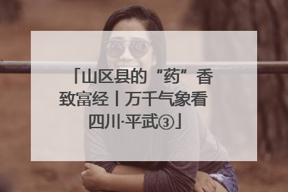 山区县的“药”香致富经丨万千气象看四川·平武③