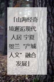山海经奇境邂逅现代人居 宁夏贺兰“产城人文”融合发展