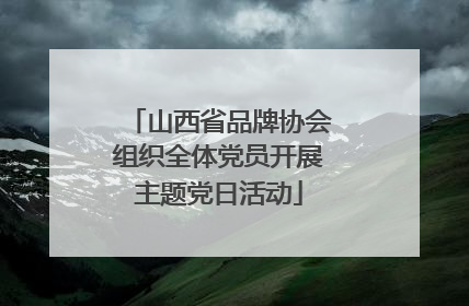 山西省品牌协会组织全体党员开展主题党日活动