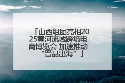 山西组团亮相2025黄河流域跨境电商博览会 加速推动“晋品出海”