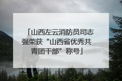 山西左云消防员司志强荣获“山西省优秀共青团干部”称号