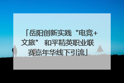 岳阳创新实践“电竞+文旅” 和平精英职业联赛嘉年华线下引流