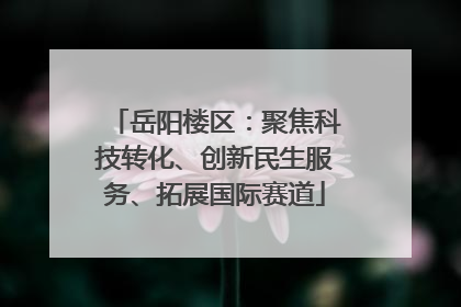 岳阳楼区：聚焦科技转化、创新民生服务、拓展国际赛道