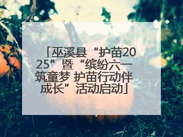 巫溪县“护苗2025”暨“缤纷六一筑童梦 护苗行动伴成长”活动启动
