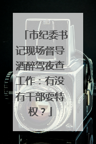 市纪委书记现场督导酒醉驾夜查工作：有没有干部耍特权？