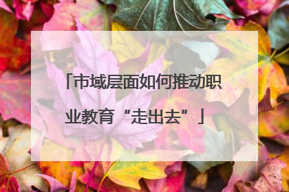市域层面如何推动职业教育“走出去”