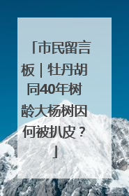 市民留言板｜牡丹胡同40年树龄大杨树因何被扒皮？