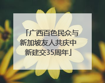 广西百色民众与新加坡友人共庆中新建交35周年